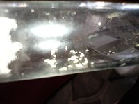 IMG_20220623_182330.jpg