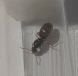 IMG_20220708_190053.jpg