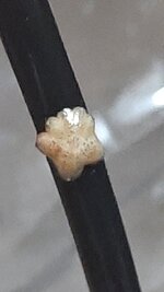 20220707_085318.jpg