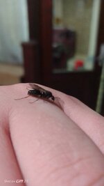 IMG_20220709_205219.jpg