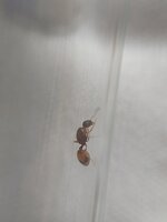 20220710_143353.jpg