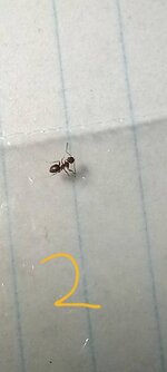 20220719_113037.jpg