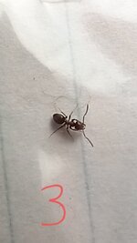 20220719_113801.jpg