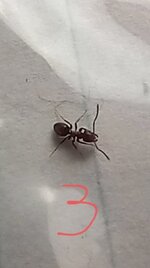 20220719_113724.jpg
