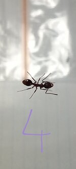 20220719_115633.jpg