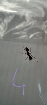 20220719_115650.jpg