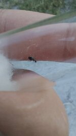 20220719_201621.jpg