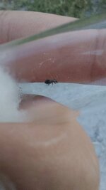 20220719_201619.jpg