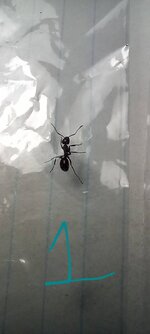 20220719_114420.jpg