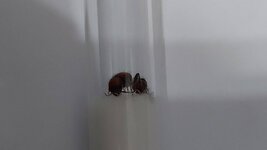 20220720_204437.jpg