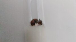 20220720_204430.jpg