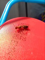 IMG_20220722_093621.jpg