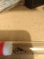 IMG_20220723_121828.jpg