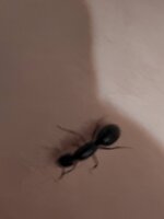 20220724_025423.jpg