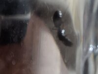 20220724_025657.jpg