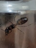20220724_025552.jpg