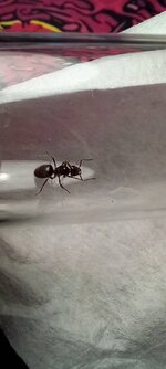 20220723_222050.jpg