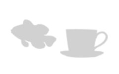 clownfish_size.jpeg