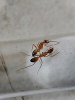 IMG_20220726_072443.jpg