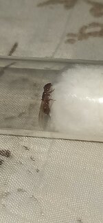 IMG_20220727_004014.jpg