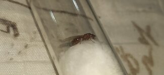 IMG_20220727_005044.jpg