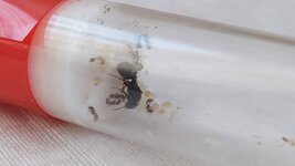 20220727_085208.jpg