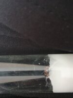 IMG_20220729_145756.jpg