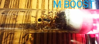 IMG_20220730_115758~2.jpg