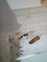 IMG_20220729_200345_479.jpg