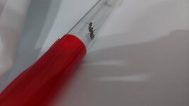 20220730_212450.jpg