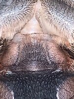 11432EA0-A475-44E0-9CF0-02013D617329.jpeg