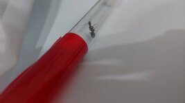 20220730_212448.jpg