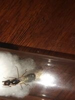 20220731_232447_copy_1699x2265.jpg