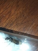20220731_232456_copy_1699x2265.jpg