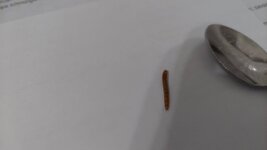 20220802_221627.jpg