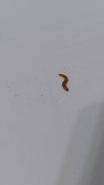20220802_222101.jpg