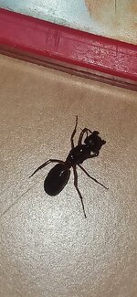 IMG_20220804_000245.jpg