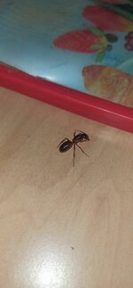IMG_20220804_000218.jpg