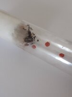 20220805_122942.jpg