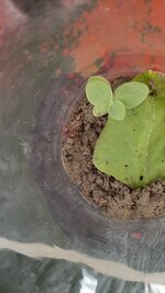 20220809_142633.jpg