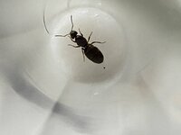 IMG_0057.jpg
