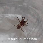 20220804_234724.jpg