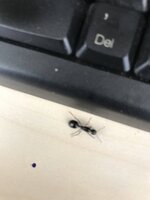74B06F35-9E65-4859-A0CF-4AE1E3094F3F.jpeg