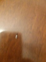 20220815_213410_copy_1699x2265_1.jpg