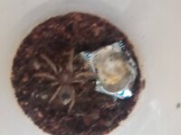 IMG_20220822_190100.jpg