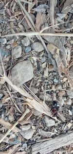 20220827_160840.jpg
