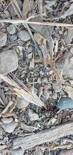 20220827_160844.jpg