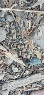 20220827_160847.jpg
