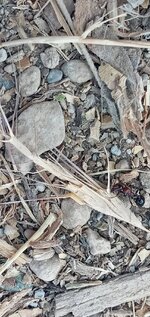 20220827_160849.jpg