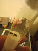 IMG_20220827_195530.jpg